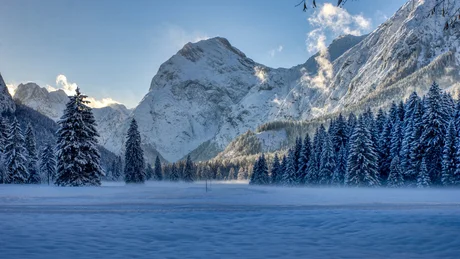Winterlandschaft mit verschneiten Bergen und Tannenbäumen bei Sonnenaufgang