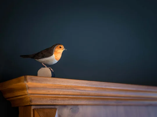 Das 4-Sterne-Hotel am Achensee: der Wiesenhof Holzfigur eines Rotkehlchens auf einer Holzleiste vor dunklem Hintergrund