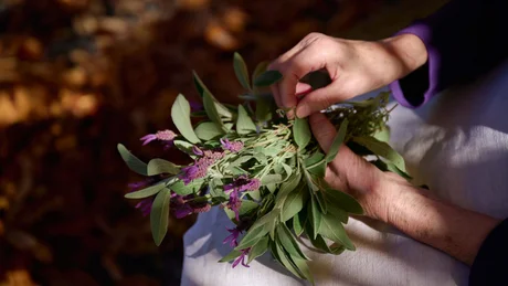 Hände halten einen Strauß grüner Blätter mit lila Blüten im Sonnenlicht