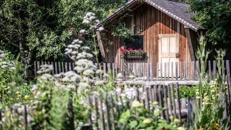 Kleines Holzhaus mit Blumenkasten hinter einem Holzzaun und Blumen im Garten
