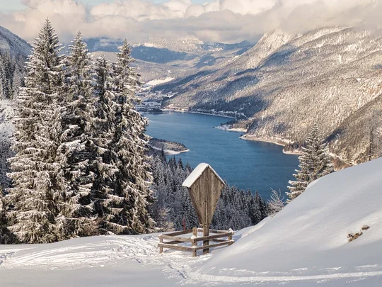 In, auf und rund um den Achensee Schneebedeckte Bäume und ein See in einem verschneiten Bergtal