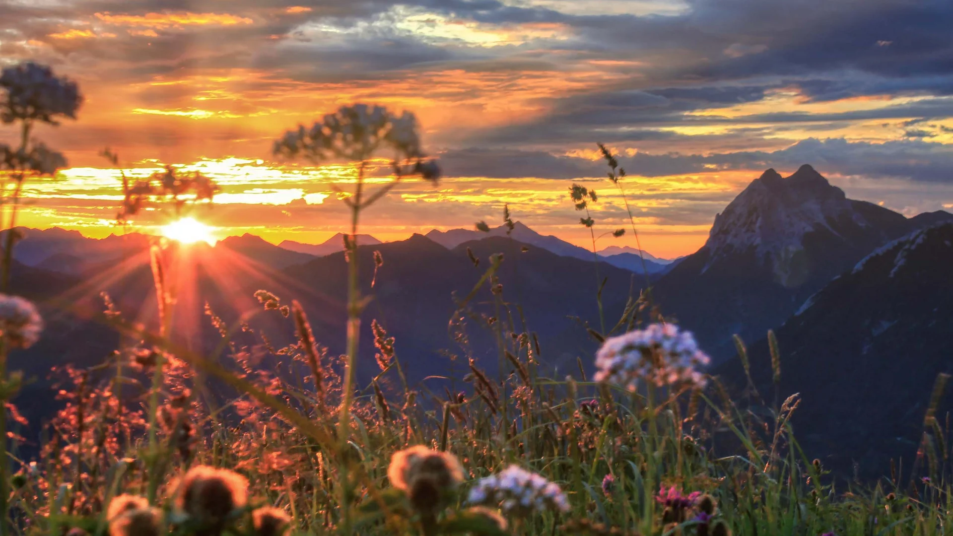 Sonnenuntergang über Bergkette mit Wildblumen im Vordergrund