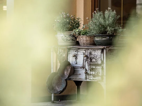 Der Wiesenhof in Pertisau und die Familie Entner mit Team Alter Ofen mit Töpfen und Pflanzen in Töpfen auf einer Terrasse