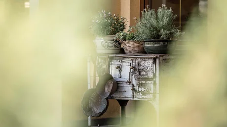 Alter Ofen mit Töpfen und Pflanzen in Töpfen auf einer Terrasse