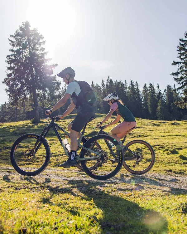 Zwei Radfahrer fahren auf einem sonnigen Waldweg mit grüner Wiese