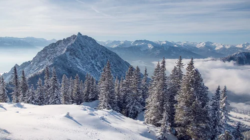 Der Wiesenhof in Pertisau und die Familie Entner mit Team Schneebedeckter Berg und Tannen mit Winterszenerie unter blauem Himmel