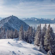 Den Achensee entdecken Schneebedeckter Berg und Tannen mit Winterszenerie unter blauem Himmel