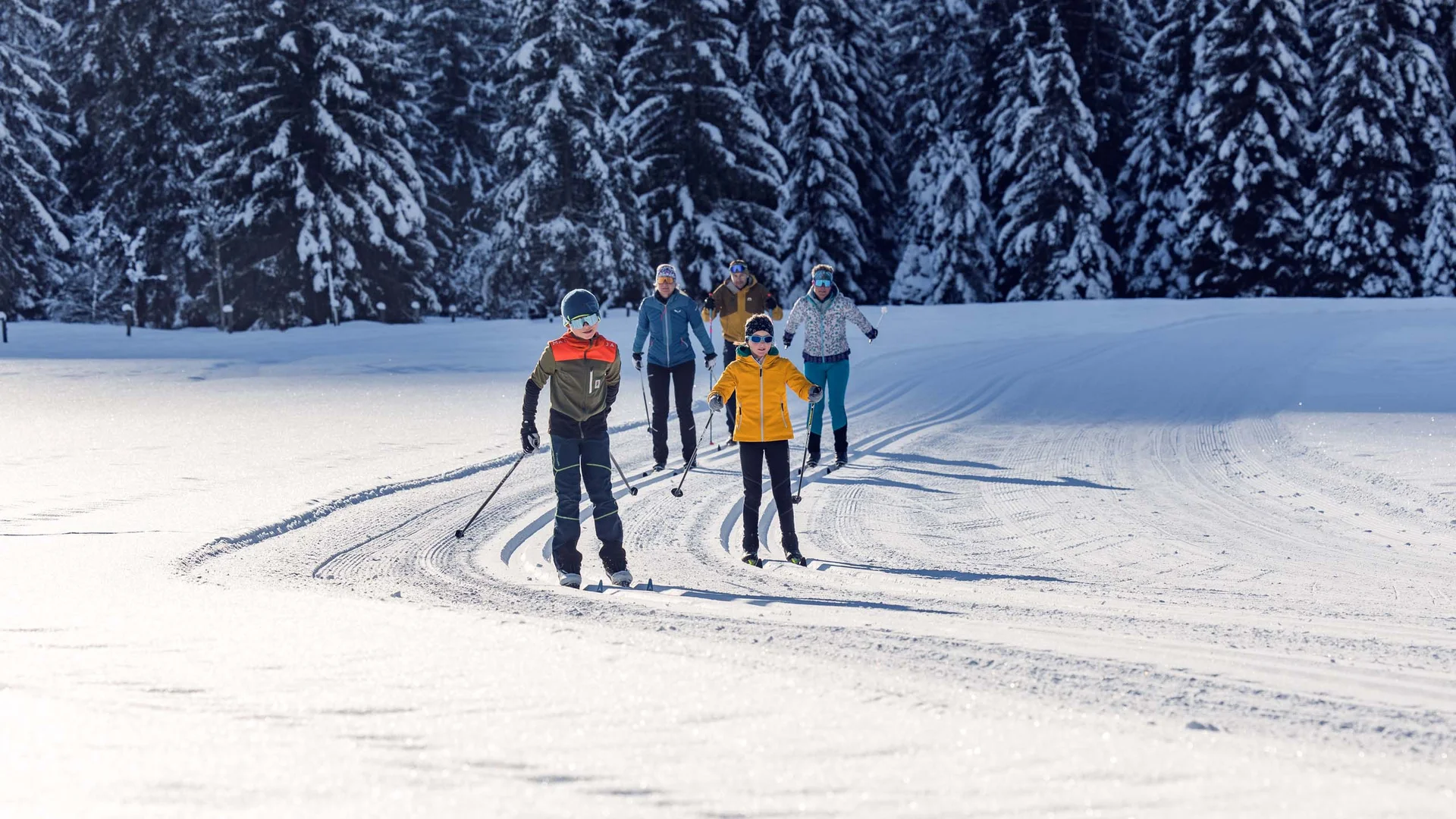 Gruppe von Skifahrern fährt auf einer verschneiten Loipe vor Tannenbäumen