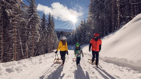 Familie mit Schlitten wandert bei Sonnenschein durch verschneiten Wald