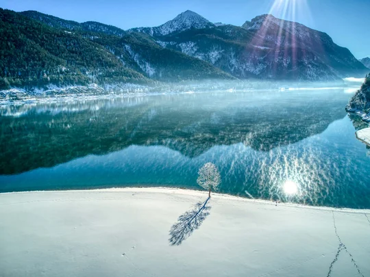 In, auf und rund um den Achensee Verschneiter See mit Bergreflexionen und einem einzelnen Baum im Vordergrund