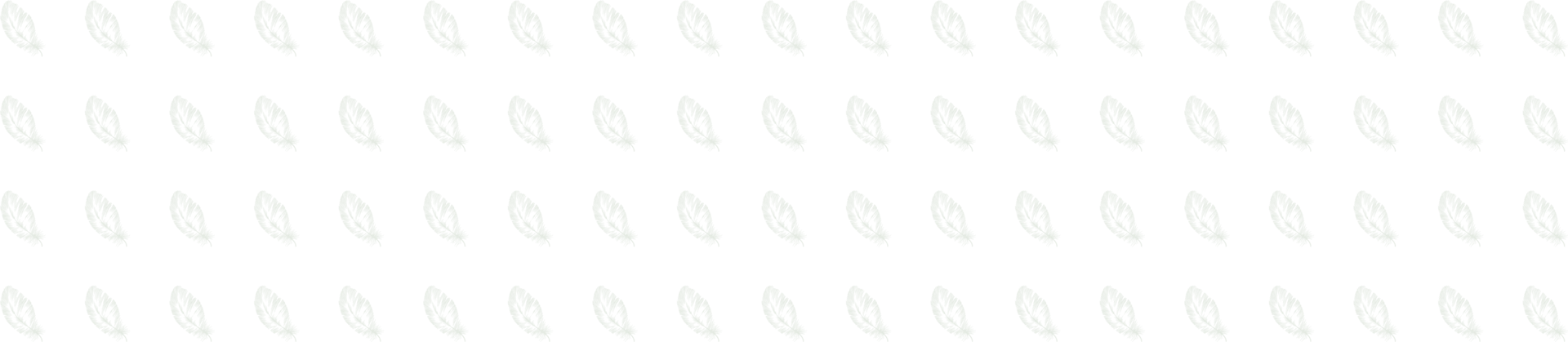 Der Wiesenhof in Pertisau und die Familie Entner mit Team