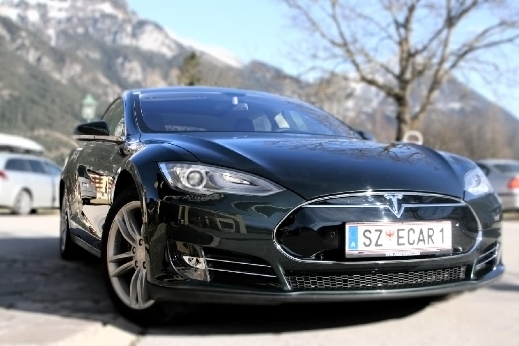 wiesenhof tesla e mobility hotel