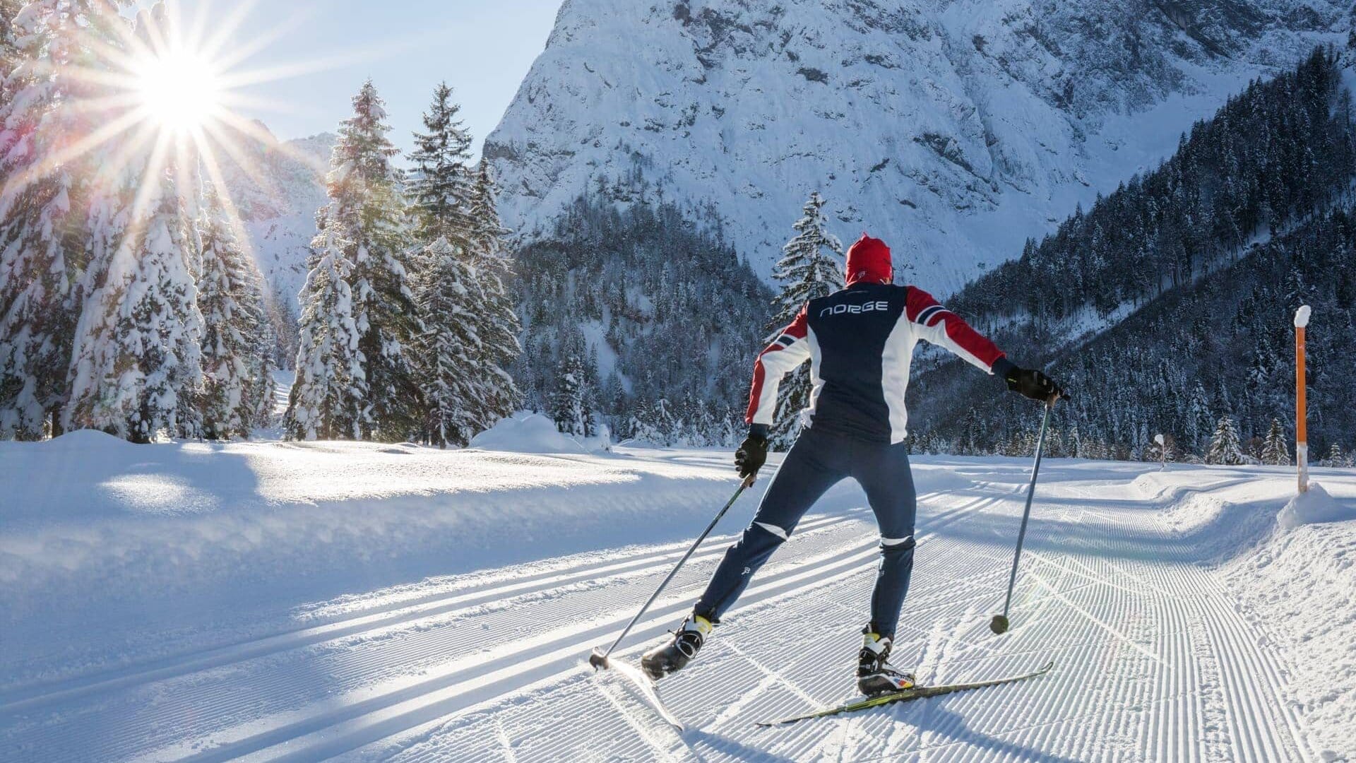 Skifahrer im Winterwald bei Sonnenschein