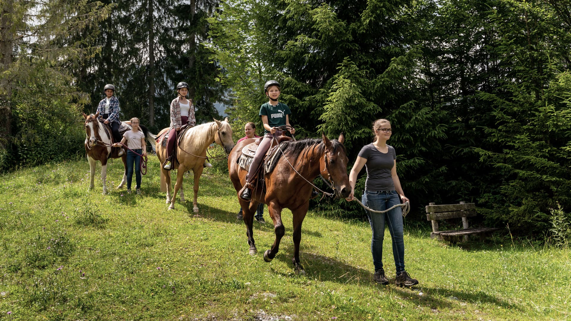 Reitergruppe auf Pferden in der Natur