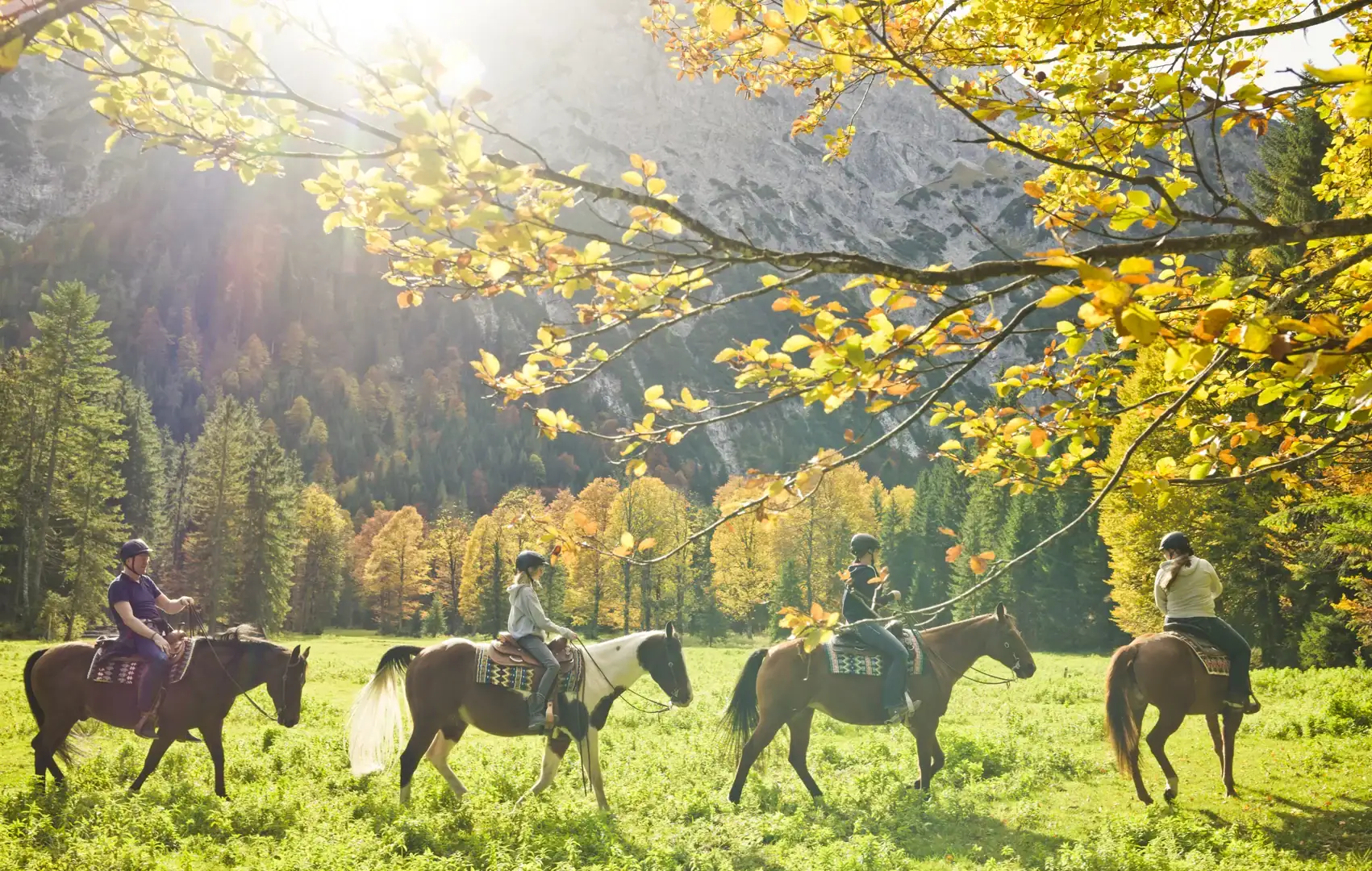 wiesenhof reiten achensee