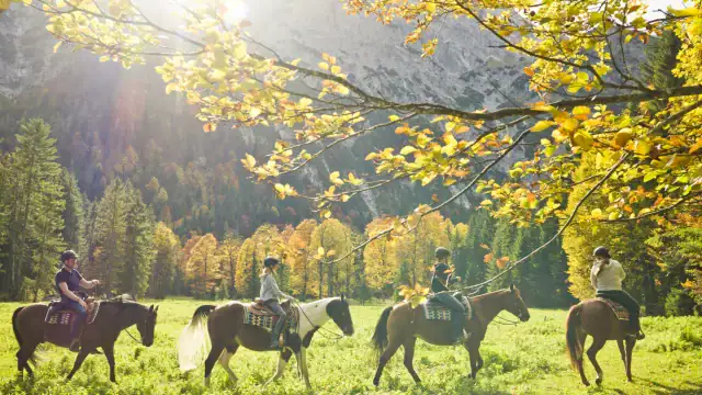 wiesenhof reiten achensee